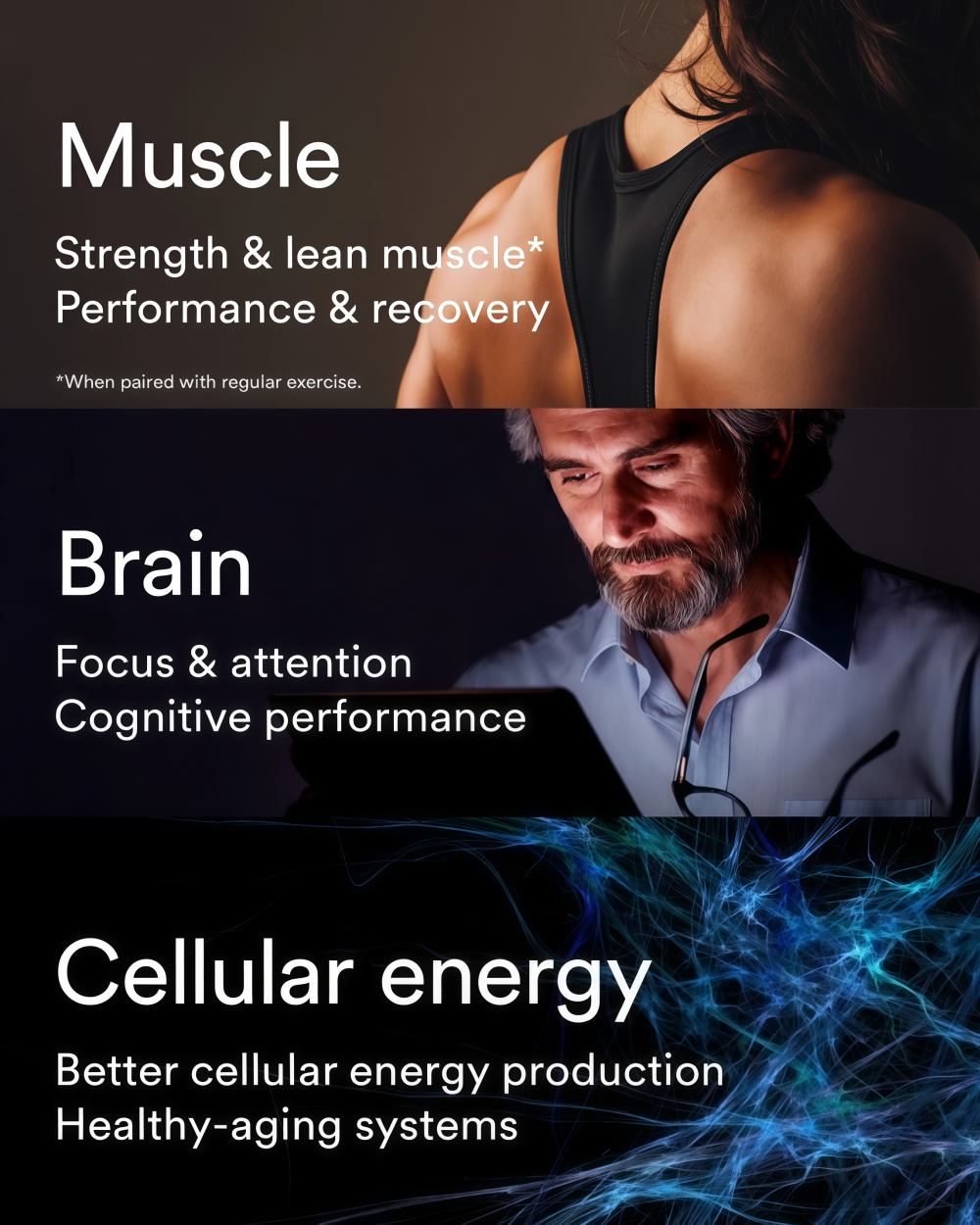 MitoQ longevity creatine complex