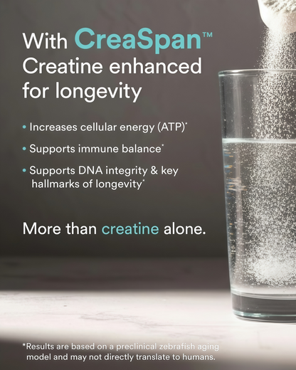 MitoQ longevity creatine complex