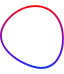 Mitochondrial health & efficiency