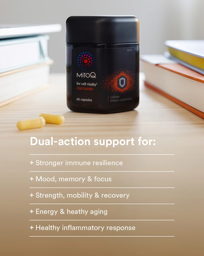 MitoQ curcumin