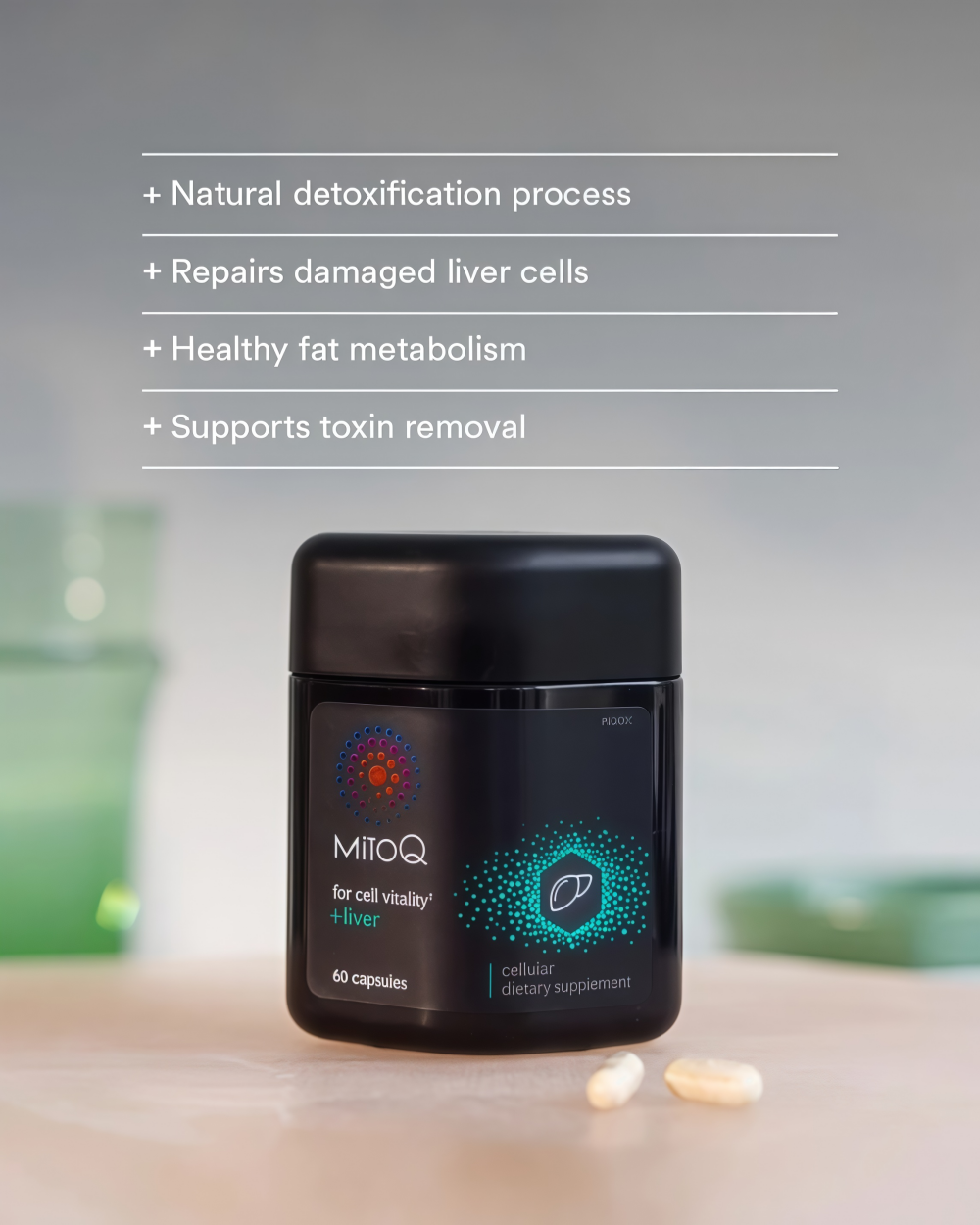 MitoQ +liver